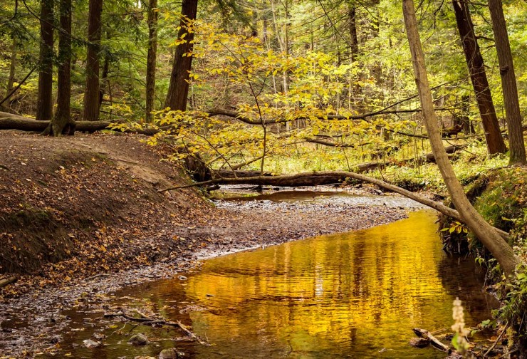 31-Sulphur SpringsTrail