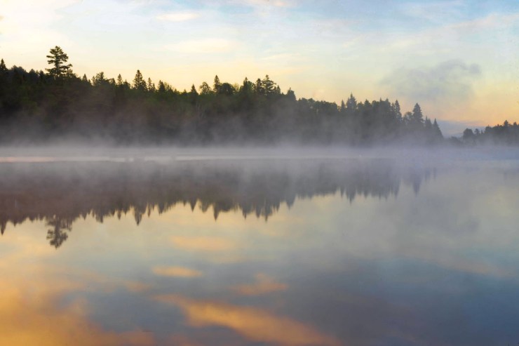 algonquin morning mist