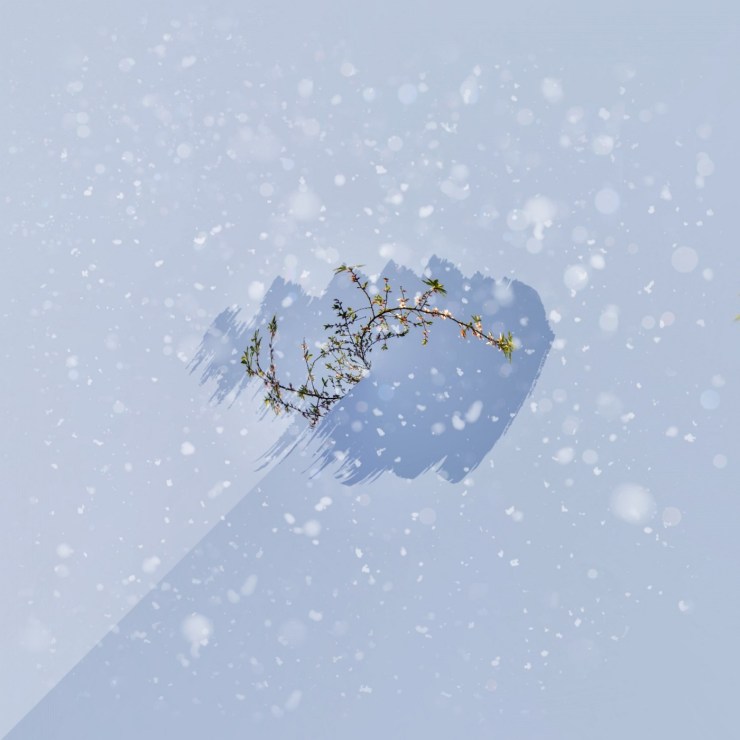 creative-waiting for spring