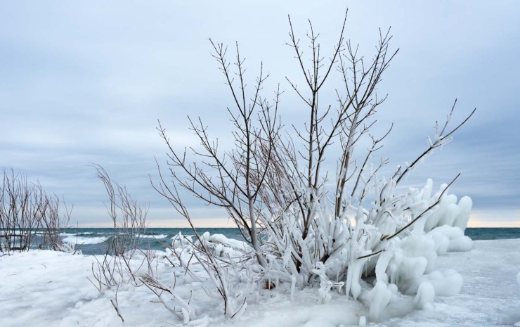 frozen beaches